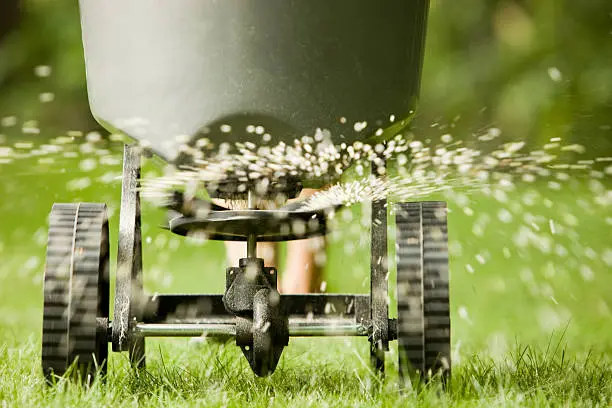 How often should you fertilize your lawn Santa Monica, CA