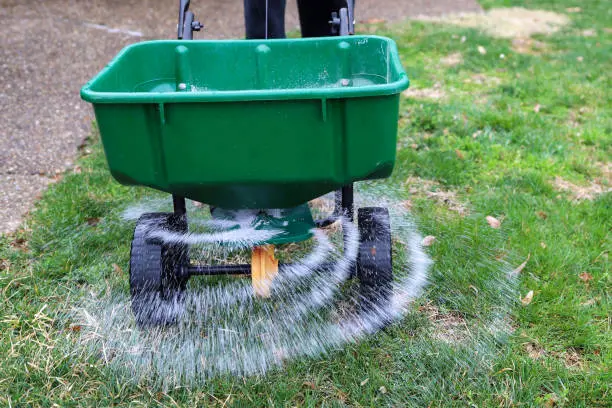 How often should you fertilize your lawn in Santa Monica, CA