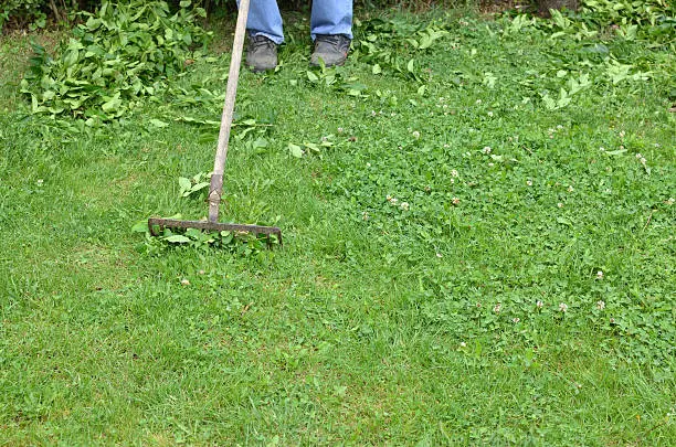 How to clear a yard full of weeds Santa Monica, CA