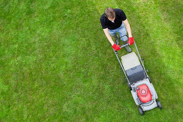 How to mow a lawn in Santa Monica, CA