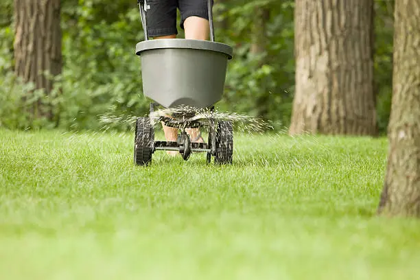 Lawn Fertilization in Santa Monica, CA