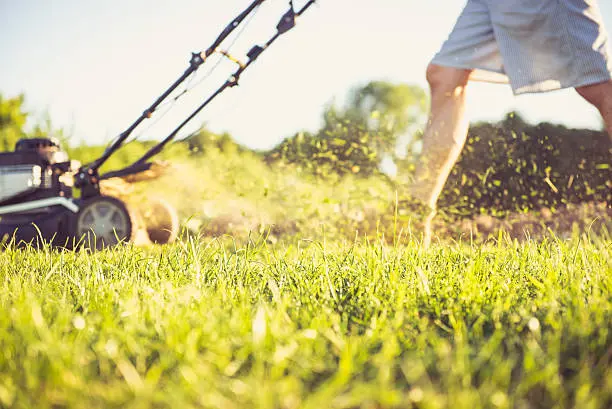 Lawn Mowing in Santa Monica, CA