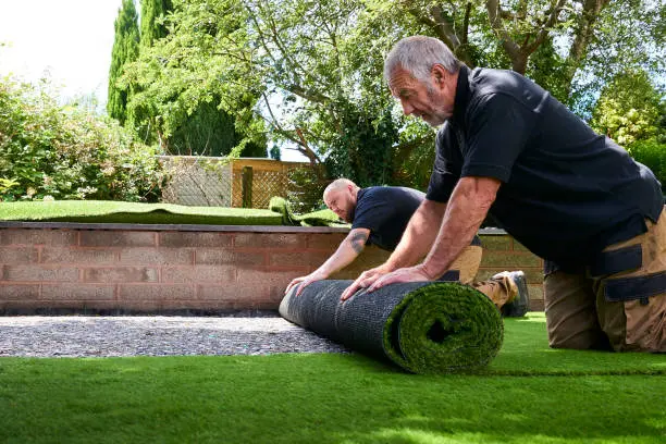 Reliable Sod Installation in Santa Monica, CA