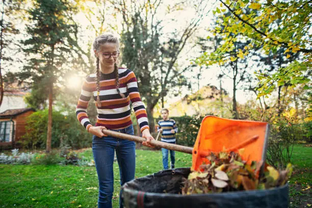 Reliable Yard Cleanup in Santa Monica, CA