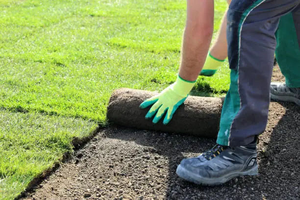 Sod Installation Santa Monica, CA