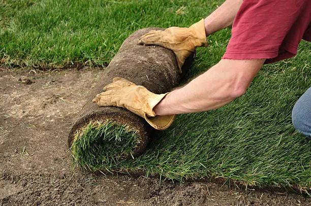 Sod Installation in Santa Monica, CA