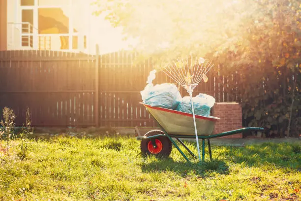 Yard Cleanup in Santa Monica, CA